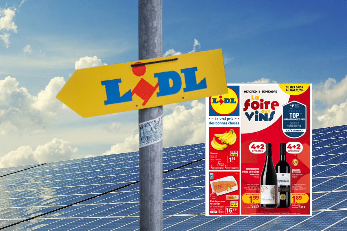 découvrez les panneaux solaires lidl : une solution économique et écologique pour produire votre propre énergie. profitez d'offres imbattables pour transformer votre maison en un espace durable tout en réduisant vos factures d'électricité.