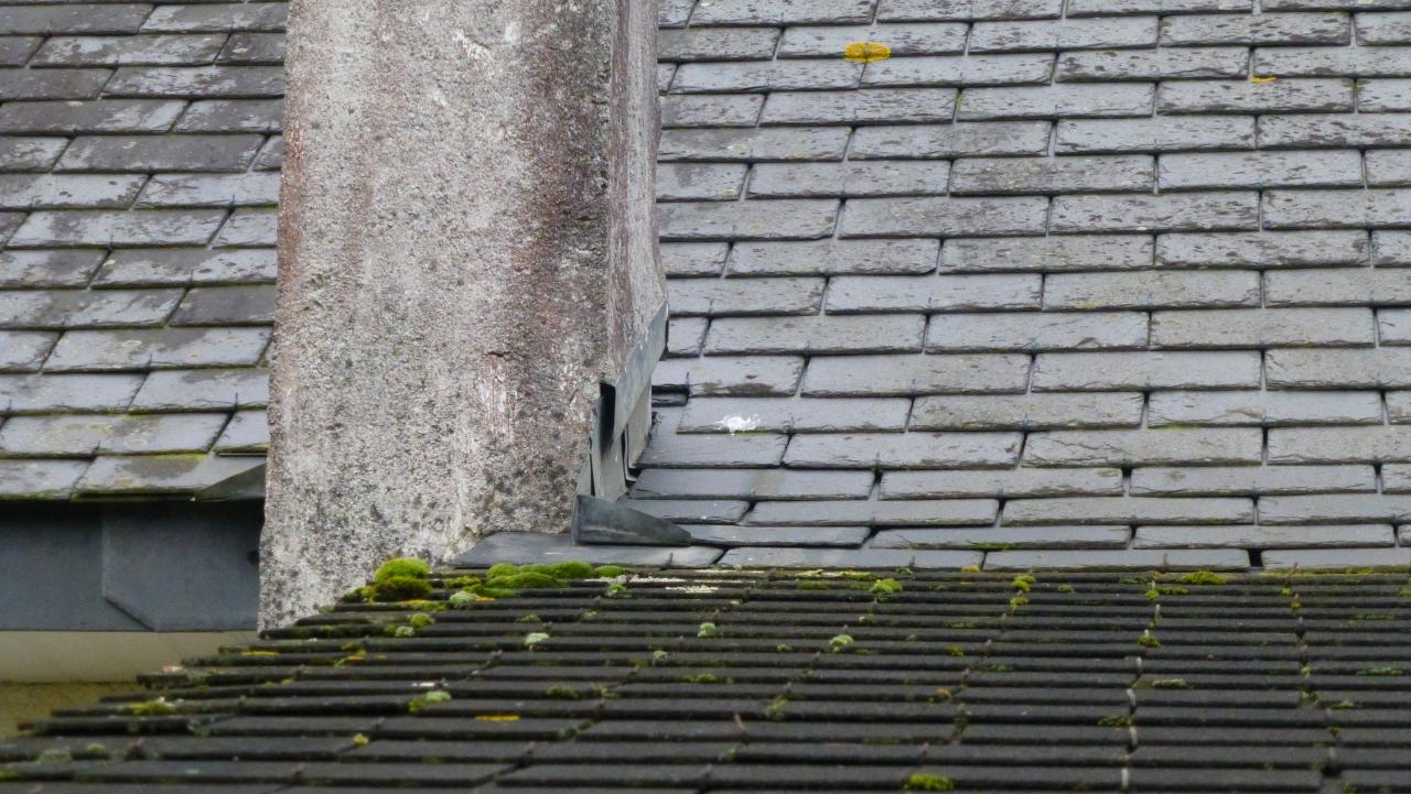 découvrez les avantages et caractéristiques des pentes en zinc pour vos projets de toiture. apprenez comment ces matériaux offrent durabilité, esthétisme et une excellente gestion de l'eau. idéal pour allier modernité et tradition dans la construction.