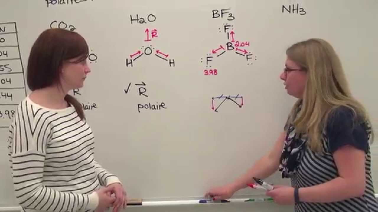 découvrez le concept de polarité, son rôle dans diverses disciplines comme la physique, la psychologie et la philosophie. plongez dans l'exploration des opposés et de leurs interactions, et comprenez comment la polarité influence notre compréhension du monde et des relations humaines.