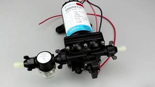 découvrez la pompe shurflo 220v, idéale pour vos besoins en arrosage ou en transfert de liquides. performante et fiable, cette pompe garantit un fonctionnement optimal pour vos projets domestiques et professionnels.