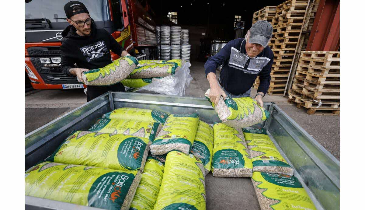 découvrez les tendances des prix des pellets en espagne en 2022. informez-vous sur les variations de coûts, les facteurs influençant le marché et les meilleures options pour votre chauffage au bois. restez à jour sur les tarifs et optimisez vos dépenses énergétiques.