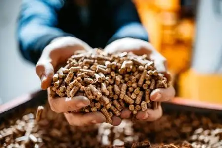 découvrez les tendances des prix des pellets en espagne en 2022, comprenant des analyses des fluctuations de marché, des conseils pour optimiser vos achats et des informations essentielles pour les consommateurs soucieux de leur budget.
