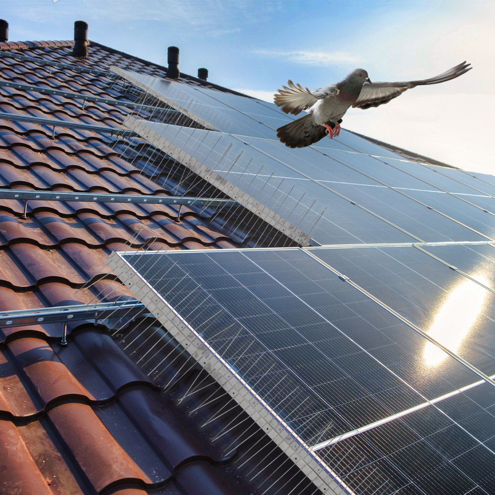 découvrez nos solutions de protection pour panneaux solaires, conçues pour maximiser la durabilité et l'efficacité de votre installation tout en la préservant des intempéries et des nuisibles.