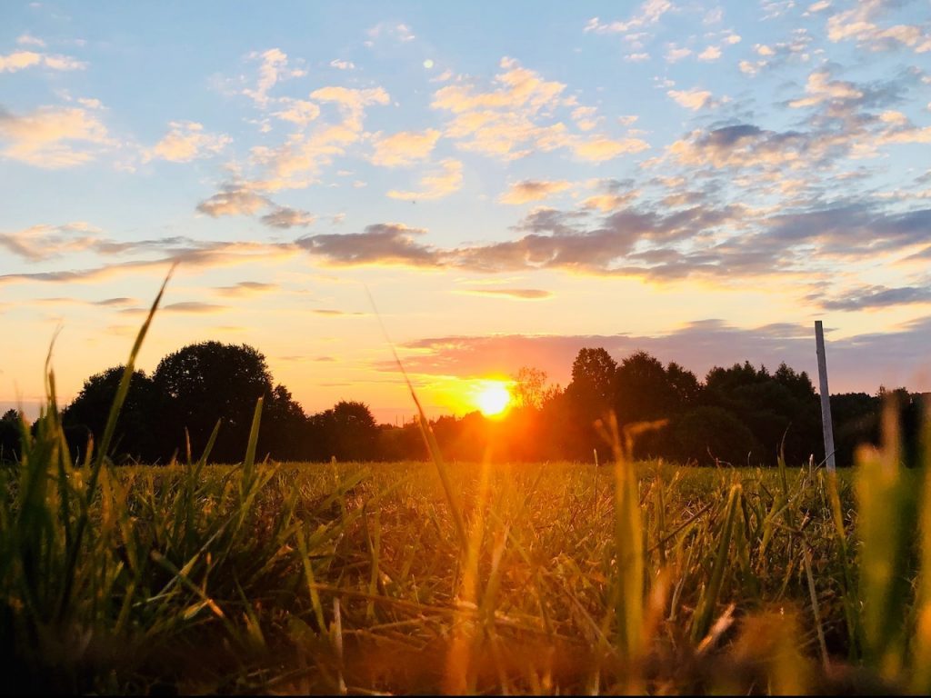découvrez les bienfaits et la beauté du soleil : une source de lumière, de chaleur et d'énergie qui transforme nos journées. apprenez à profiter de ses rayons tout en prenant soin de votre peau.