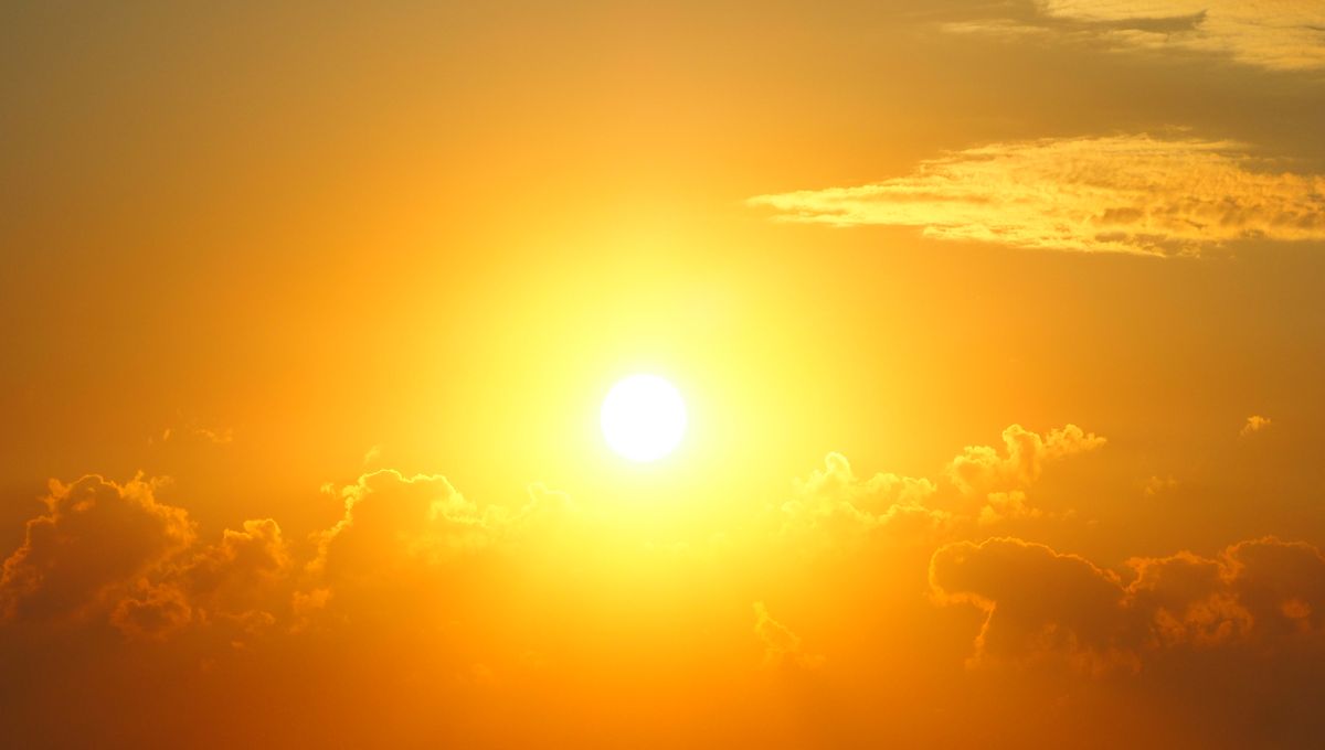 découvrez la magie du soleil : ses bienfaits sur notre bien-être, son rôle dans l'écosystème, et des conseils pour profiter pleinement de ses rayons tout en préservant votre santé.