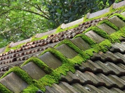 découvrez tout ce qu'il faut savoir sur la toiture mitoyenne : avantages, inconvénients, conseils d'entretien et normes à respecter pour garantir la durabilité et l'esthétique de votre toit partagé.