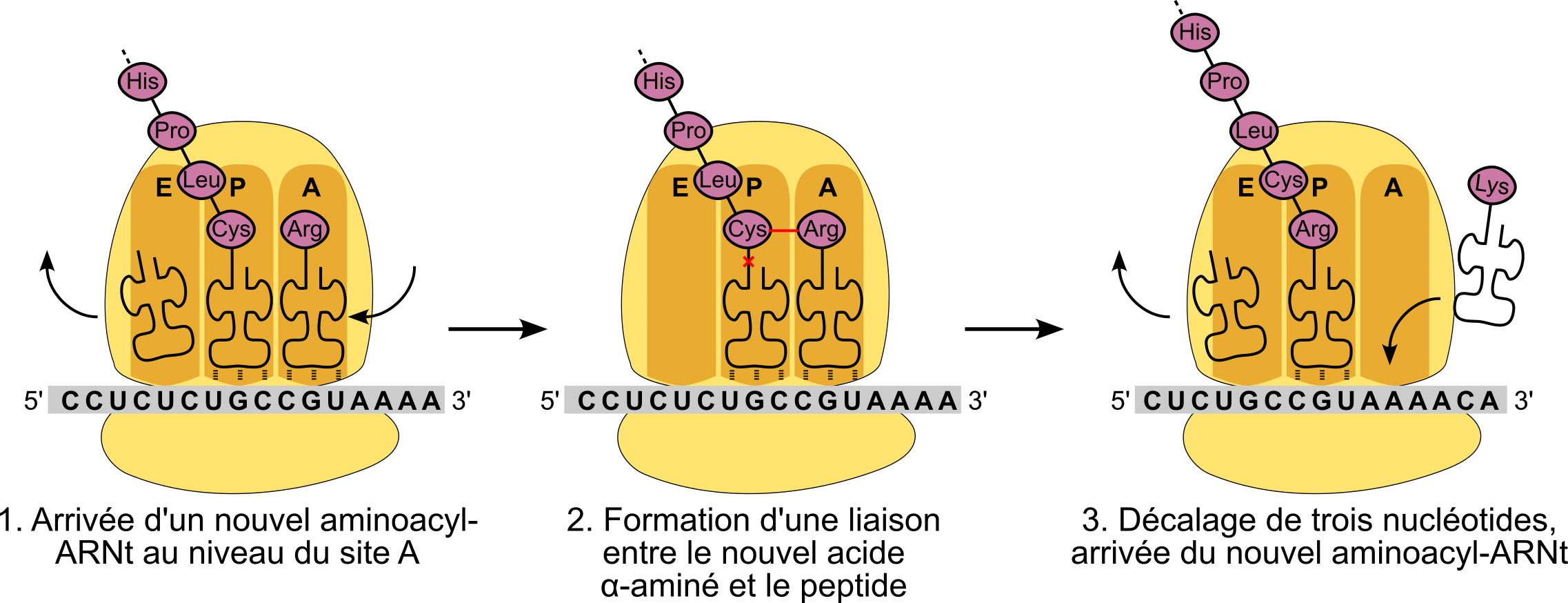 découvrez l'art de la traduction décalée, une approche unique qui joue avec les mots pour offrir des interprétations inattendues et créatives. explorez notre expertise en traduction ludique qui transcende les barrières linguistiques tout en ajoutant une touche d'humour.