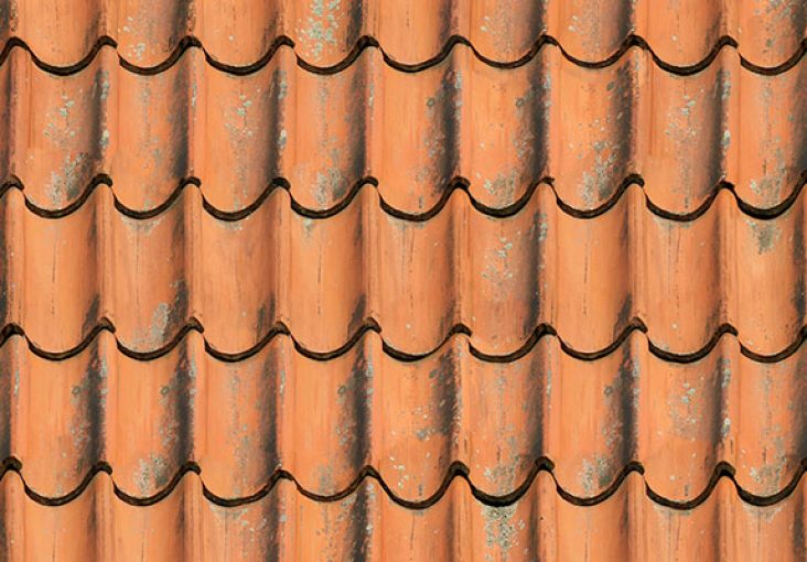 découvrez tout sur les tuiles : types, matériaux, avantages et conseils d'installation pour embellir votre toiture et assurer sa durabilité.