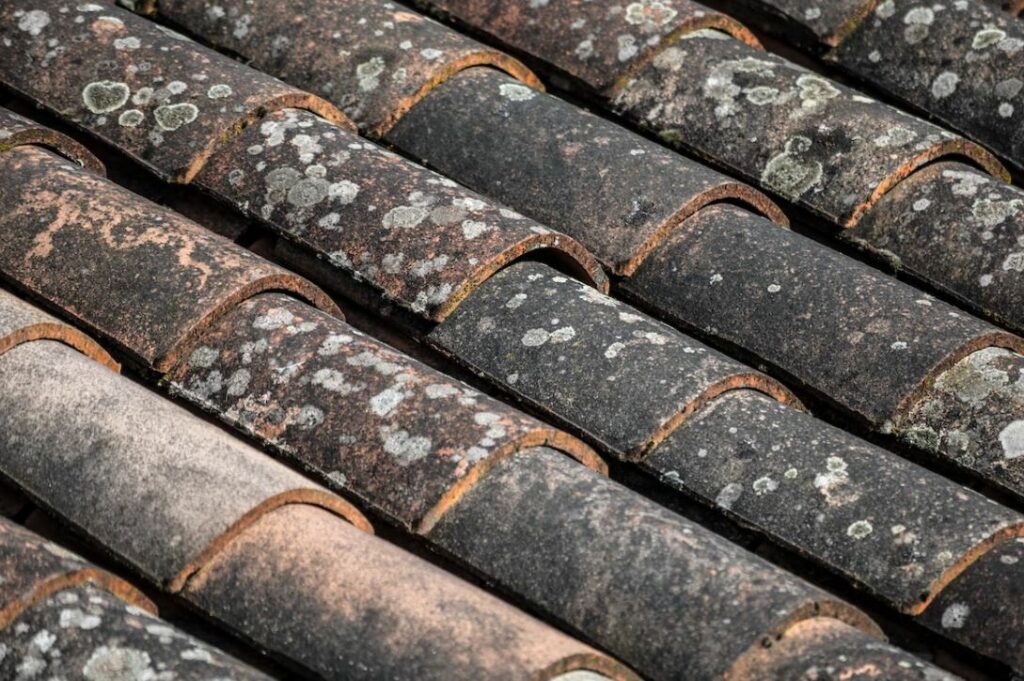 découvrez les tuiles fibro, un matériau de construction polyvalent et durable, idéal pour toitures et revêtements. apprenez-en plus sur leurs avantages, leur installation et leur entretien pour assurer la longévité de vos projets.