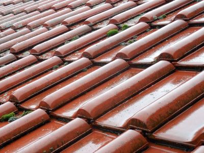 découvrez tout sur la tuile fibro, un matériau de construction durable et esthétique, idéal pour vos projets de toiture. apprenez ses avantages, ses caractéristiques et comment l'intégrer efficacement dans votre habitat.