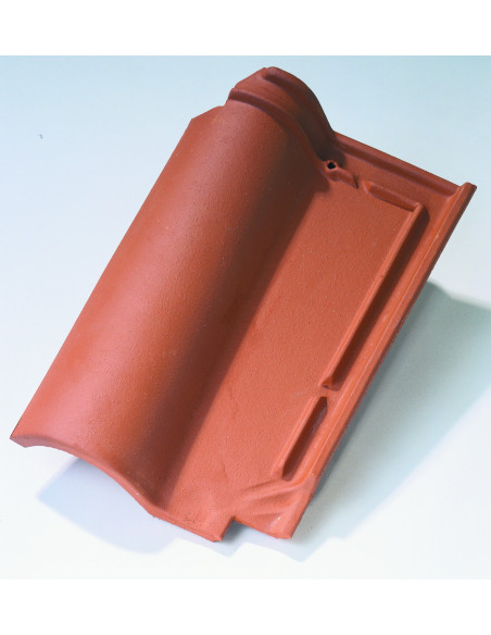 découvrez tout sur la tuile romane, un incontournable de l'architecture traditionnelle française. explorez ses caractéristiques, ses avantages et comment elle embellit vos projets de construction ou de rénovation.