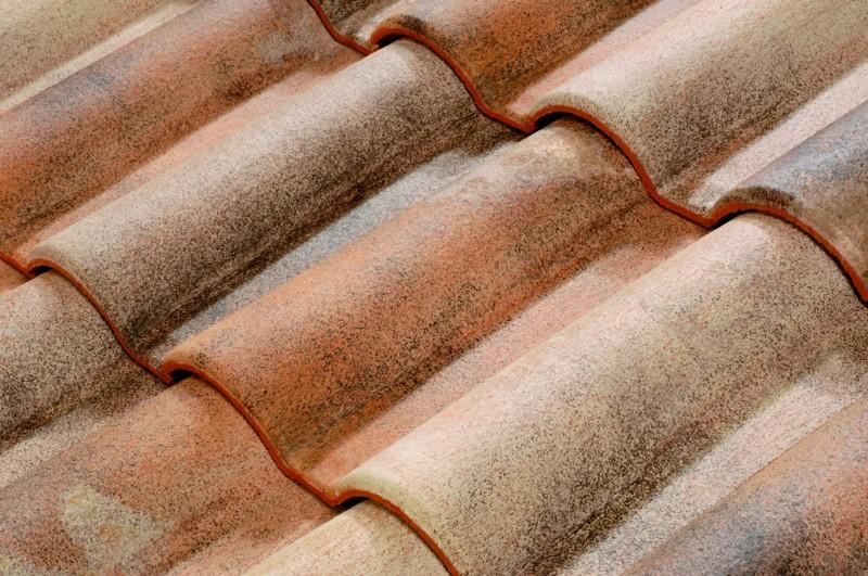 découvrez la tuile romane, un matériau traditionnel au charme intemporel. parfaite pour valoriser votre toiture, elle allie esthétique et durabilité tout en offrant une excellente résistance aux intempéries. explorez nos différentes options pour donner du caractère à votre habitat.