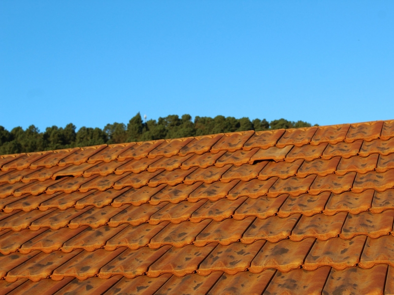 découvrez les tuiles delta 10, des solutions innovantes et durables pour vos projets de couverture. alliant esthétisme et performance, ces tuiles sont idéales pour protéger votre maison tout en lui donnant un charme unique. idéales pour les constructions neuves comme pour les rénovations.