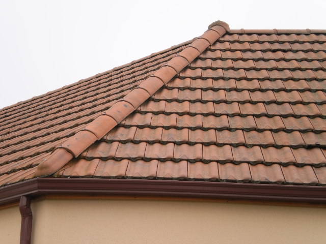 découvrez les tuiles delta 10, un choix idéal pour allier esthétique et performance. conçues pour résister aux intempéries tout en offrant une excellente isolation, ces tuiles sont parfaites pour tous vos projets de toiture. optez pour la qualité et la durabilité avec delta 10.