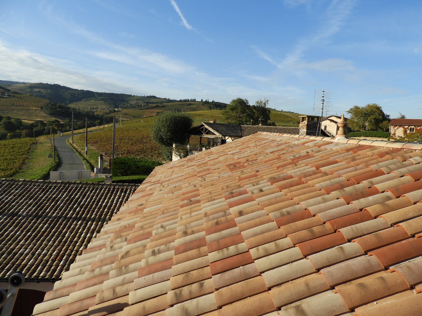 découvrez les tuiles omega 13, la solution idéale pour protéger votre toiture tout en apportant une touche esthétique à votre bâtiment. fabriquées avec des matériaux durables, elles assurent une excellente étanchéité et une longévité exceptionnelle. explorez nos différents coloris et styles pour personnaliser votre toiture selon vos goûts.