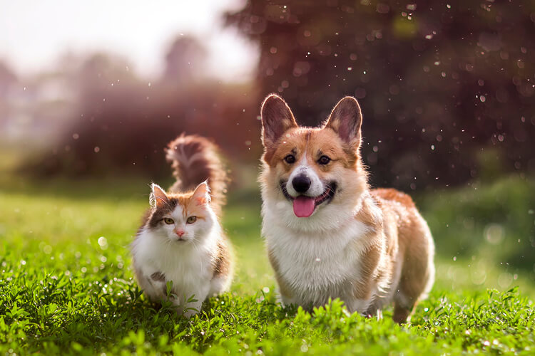 découvrez webbox, votre solution innovante pour optimiser la présence en ligne de votre entreprise. simplifiez la gestion de votre site web et boostez votre visibilité grâce à nos outils performants et faciles à utiliser.