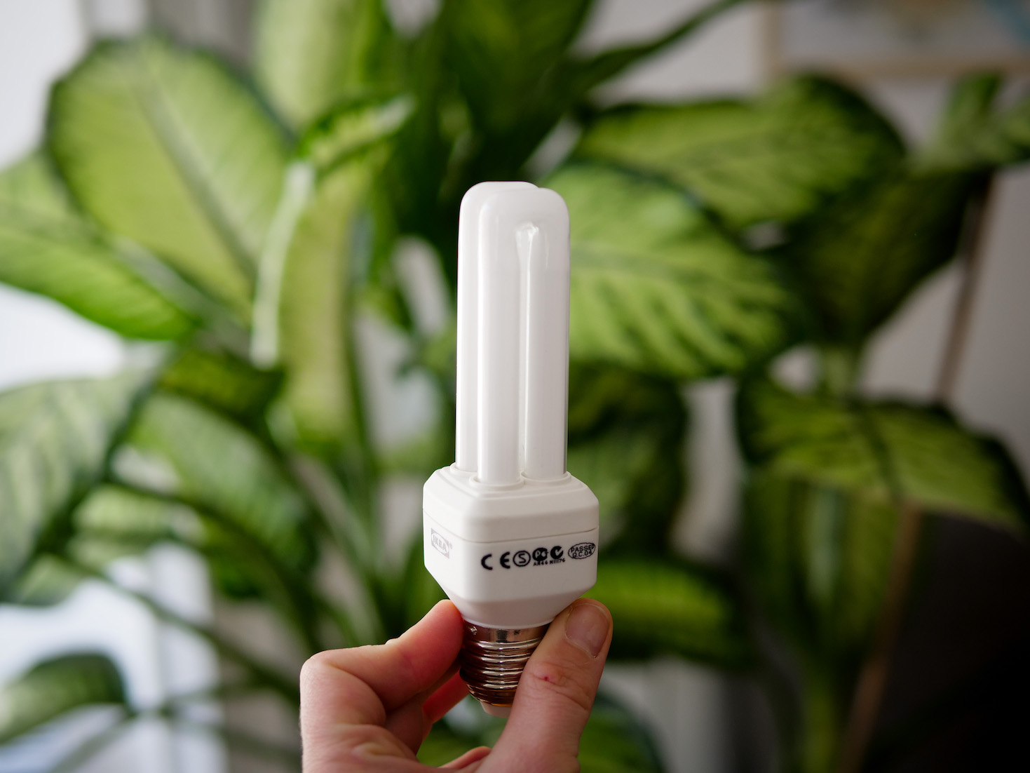 découvrez wivaldy, une plateforme innovante qui vous permet de gérer et d'optimiser vos projets facilement et efficacement. explorez nos outils puissants, bénéficiez d'un accompagnement personnalisé et transformez vos idées en succès.