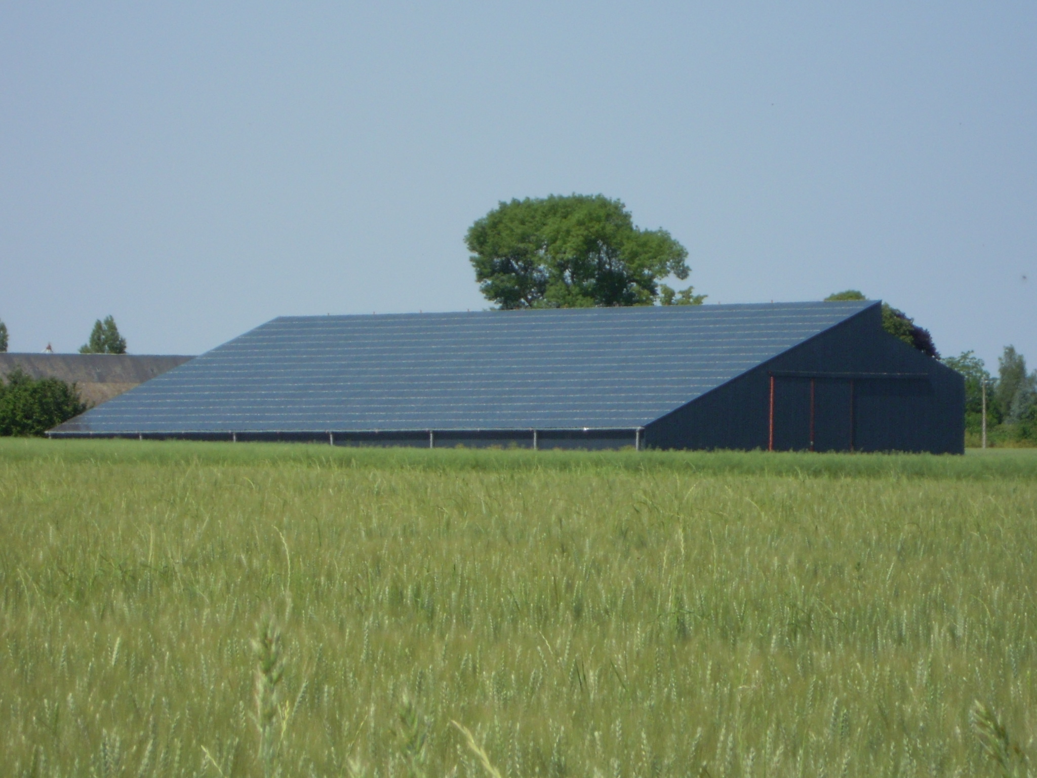 découvrez comment les bâtiments agricoles photovoltaïques allient innovation et durabilité, permettant aux agriculteurs de produire de l'énergie solaire tout en optimisant leurs espaces de travail. boostez votre exploitation avec des solutions écologiques et rentables.
