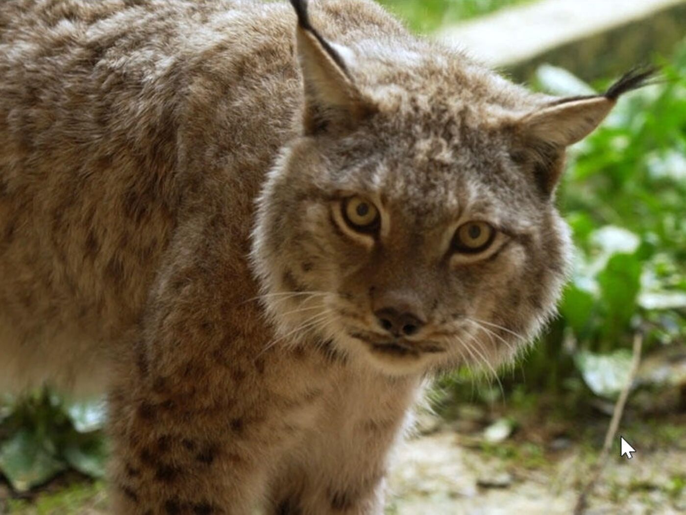 découvrez les derniers faits divers marquants du jura : enquêtes, incidents et actualités locales qui font parler d'eux. restez informé sur les événements qui animent cette région riche en histoires.