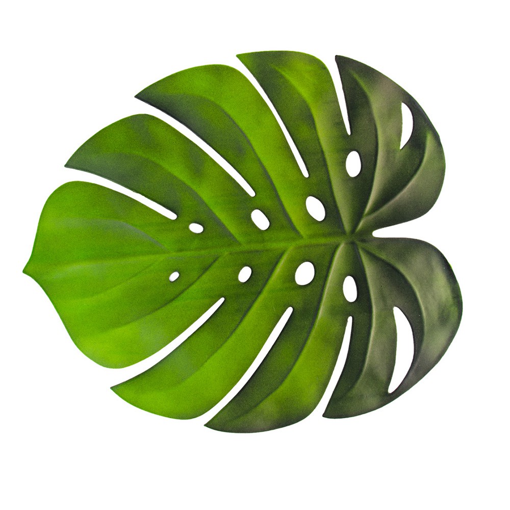 découvrez l'univers fascinant des feuilles : leur diversité, leur rôle essentiel dans la nature et les secrets de leur photosynthèse. apprenez comment ces éléments végétaux contribuent à la vie sur terre et à l'équilibre des écosystèmes.