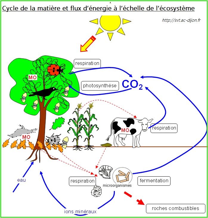 découvrez les secrets des flux d'énergie : comment optimiser votre vitalité et harmoniser votre environnement pour une meilleure qualité de vie. explorez des techniques et des pratiques pour canaliser et équilibrer votre énergie au quotidien.