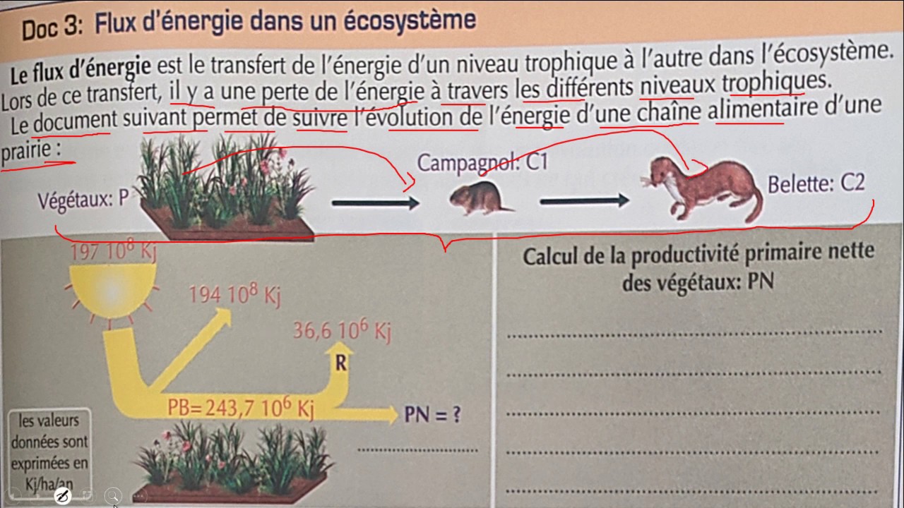 découvrez le concept de flux d'énergie, une approche fascinante qui explore la manière dont l'énergie circule dans nos vies. apprenez comment optimiser votre vitalité et harmoniser votre environnement pour un bien-être accru.