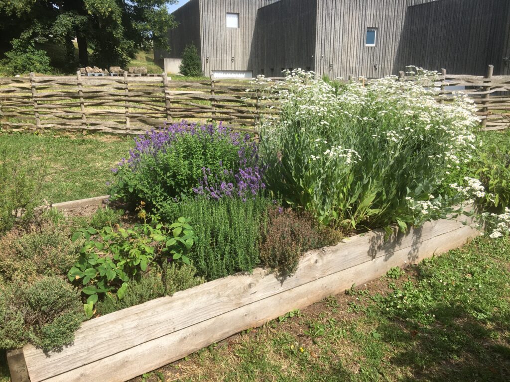 découvrez notre forum jardin, un espace d'échange et de partage dédié aux passionnés de jardinage. partagez vos conseils, découvrez des astuces, posez vos questions et échangez avec une communauté de jardiniers tout niveau. rejoignez-nous et cultivez votre passion !