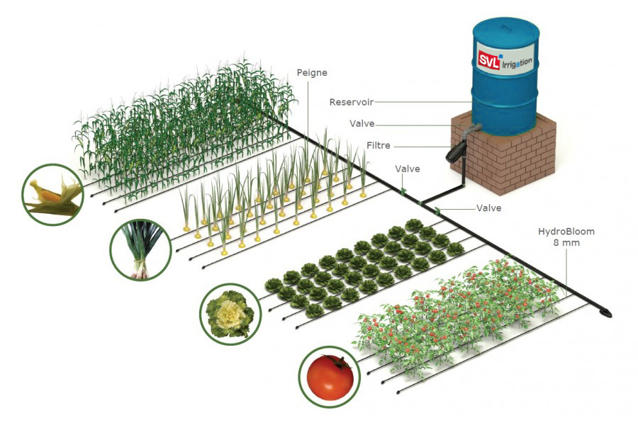 découvrez les différentes techniques d'irrigation qui optimisent l'utilisation de l'eau pour vos cultures. apprenez à améliorer le rendement de vos plantations tout en préservant l'environnement grâce à des systèmes modernes et durables.