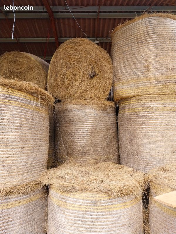 découvrez leboncoin09, votre plateforme de petites annonces pour acheter, vendre ou échanger des biens et services près de chez vous. profitez d'une sélection variée et d'opportunités uniques dans votre région.