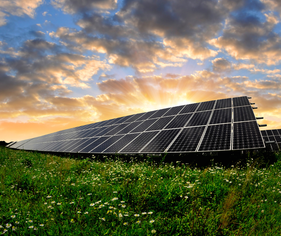 découvrez les avantages des panneaux photovoltaïques pour produire de l'énergie renouvelable et réduire vosfactures d'électricité. informez-vous sur leur installation, leur fonctionnement, et comment ils contribuent à la sauvegarde de l'environnement.