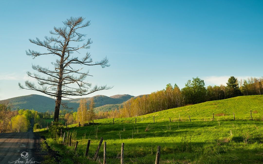découvrez la beauté des paysages naturels à travers le monde. des montagnes majestueuses aux plages ensoleillées, explorez des panoramas à couper le souffle qui raviront vos sens et inspireront votre esprit. plongez dans la diversité des paysages et laissez-vous emporter par la magie de la nature.