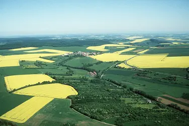 découvrez un panorama époustouflant de paysages variés, allant des montagnes majestueuses aux plages de sable fin. plongez dans la beauté naturelle qui inspire la paix et l'émerveillement.
